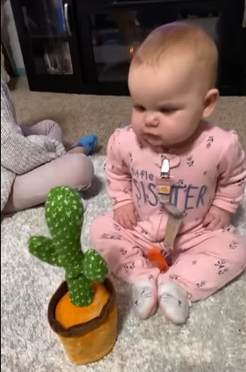 Baby and cactus toy